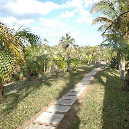Rocks Retreat By Eleuthera Vacation Rentals North Palmetto Point Zewnętrze zdjęcie